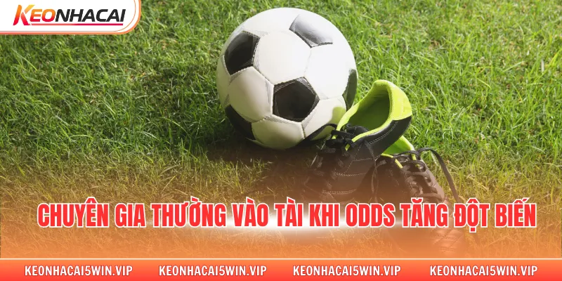 Chuyên gia thường vào tài khi odds tăng đột biến