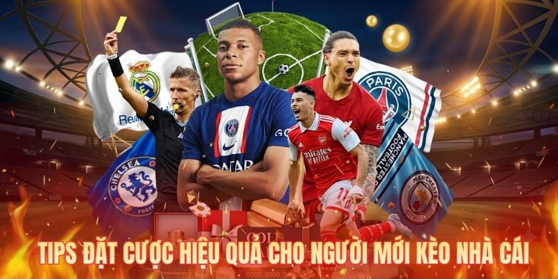 Tips đặt cược hiệu quả cho người mới kèo nhà cái